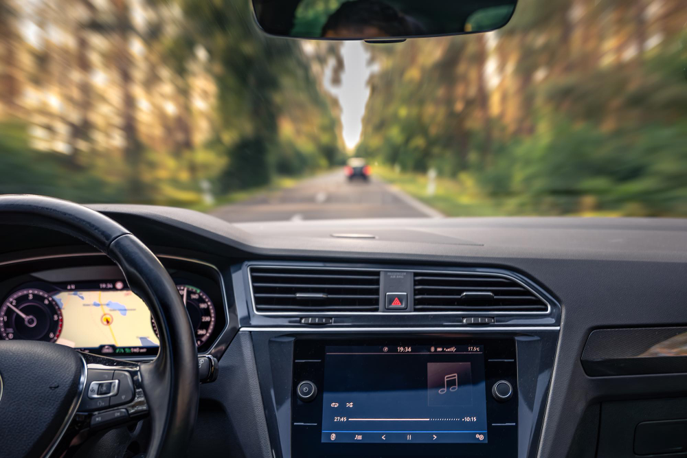 Car dash while driving in greenery